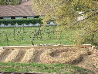 L’orto sinergico e l’agricoltura a misura d’uomo Orto sinergico