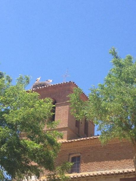 Le cicogne su tetti e campanili della Castilla