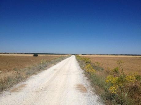 Il deserto della Meseta