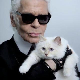 Choupette for Karl Lagerfeld