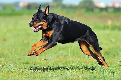 il romanzo a puntate più breve del mondo (45/52) il romanzo a puntate più breve del mondo (45/52)