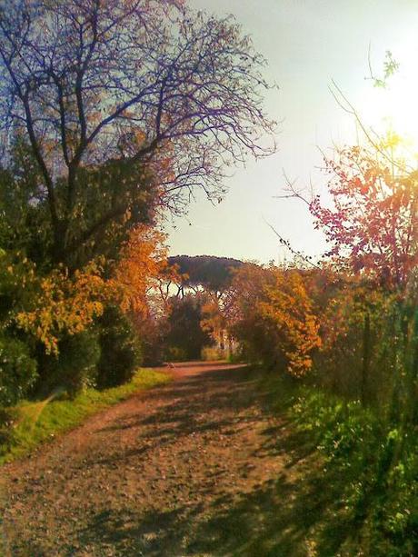 Fall country: burgundy