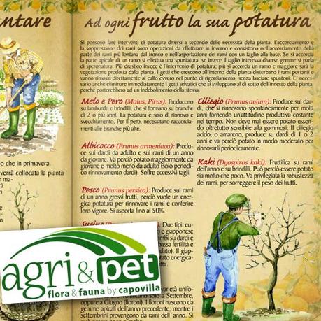 Un ebook sulle piante da frutto Piante da frutto
