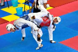 taekwondo World masters games