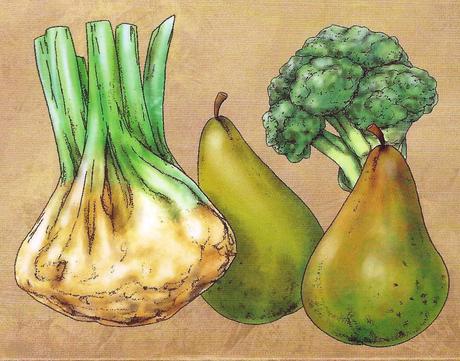 ott Stagionalità di Novembre