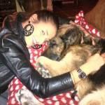 Showgirl animaliste: Anna Falchi “gattara”, Alessia Reato preferisce i cani