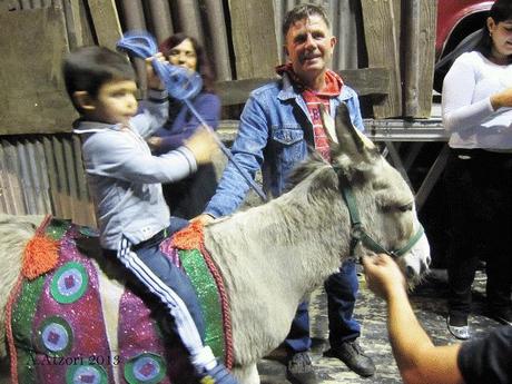 Un’asinella al Lirico di Cagliari