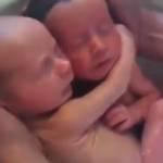 I gemellini sono nati da poche ore ma non vogliono staccarsi (Video)