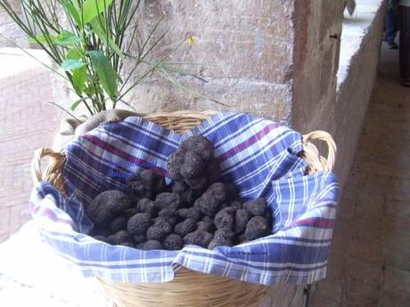 tartufi neri Agria Valnerina tartufi neri agria Valnerina