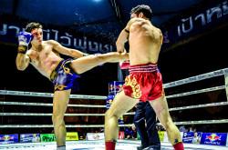 Muay Thai: il 12enne Alex sulle orme di Mathias Gallo Cassarino Mathias Gallo Cassarino - Foto Gian Carlo Corba