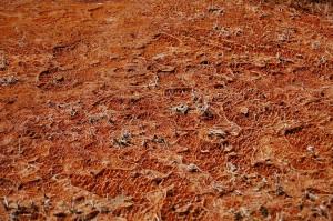 Batteri diventano bio-batteria bio-batteria