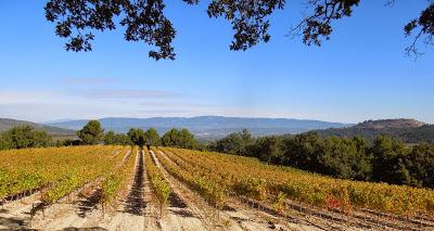 Château La Coste: vino-arte-architettura