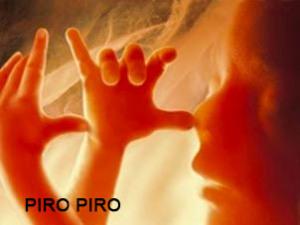 18 novembre 2012 Manifesto dedicato da Patuasia alla vittoria contro il pirogassificatore.