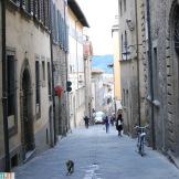 Tra i vicoli di Arezzo, la città di Giorgio Vasari