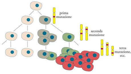 Test d'ingresso a medicina: le domande di biologia con le soluzioni spiegate e commentate - domanda 6