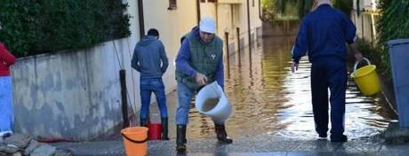 cantine allagate.jpg 494743697 Rassegna stampa del 20 novembre 2013: alluvione in Sardegna, stato di emergenza
