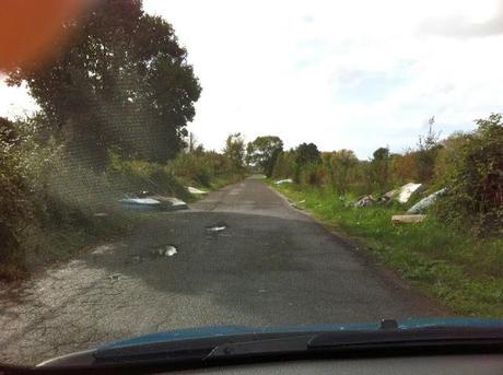 Nell'attesa di capire o meno se farci lo stadio della Roma, stanno trasformando l'Ippodromo di Tor di Valle in una discarica abusiva