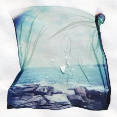 2560945440_58b68d402e Le Polaroid “spiegazzate” con la tecnica emulsion lift