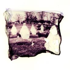 echo_emulsion_lift Le Polaroid “spiegazzate” con la tecnica emulsion lift