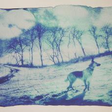 3790159665_771c83e630_z Le Polaroid “spiegazzate” con la tecnica emulsion lift