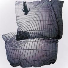 940861234034768 Le Polaroid “spiegazzate” con la tecnica emulsion lift