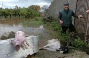 La Sardegna si indigna: aprono la diga ed un’onda d’acqua di due metri arriva ad Olbia