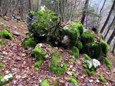 sentiero natura val canzoi lago della stua