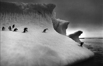 Il magico mondo di Sebastião Salgado