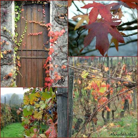 collage autunnale