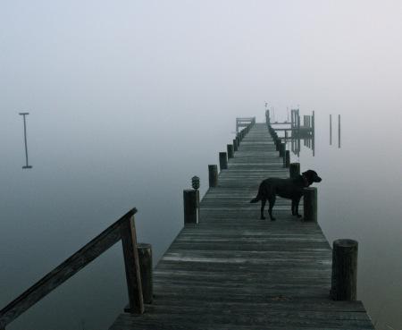 Senza titolo senza titolo