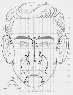 Drenaggio delle 6 zone della faccia.