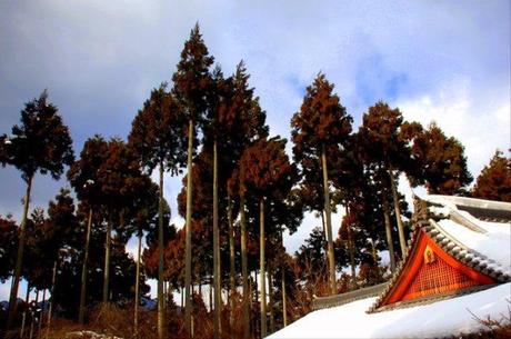 Tempio Sanzenin Tempio Sanzenin