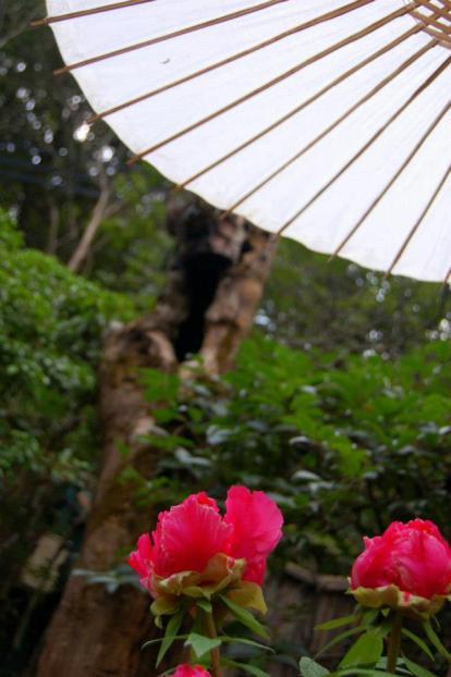 Gio-ji, particolare Gio-ji, particolare