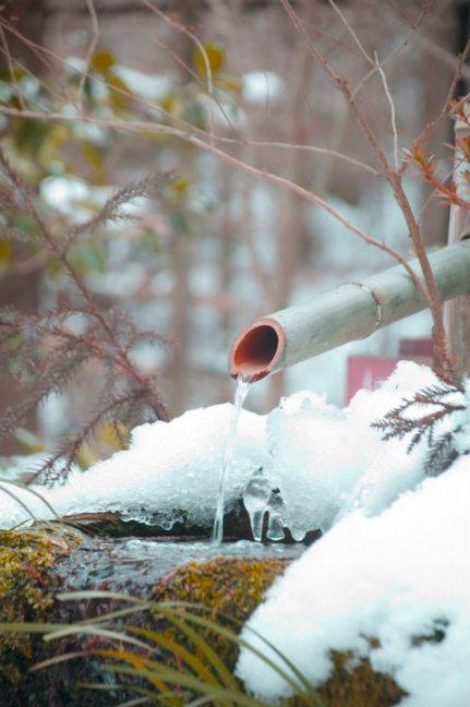 Il giardino del Sanzenin Il giardino del Sanzenin
