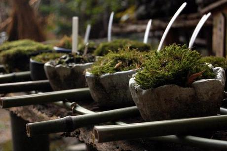 Gio-ji, particolare Gio-ji, particolare