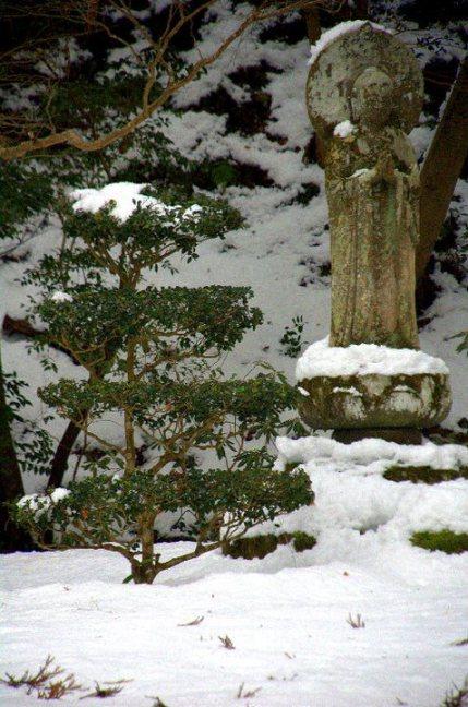 Il giardino del Sanzenin Il giardino del Sanzenin