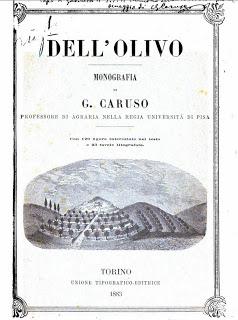 Dell’Olivo - Monografia di G. Caruso Professore di Agraria della Regia Università di Pisa, Torino Unione Tipografico editrice 1883, CAPO I