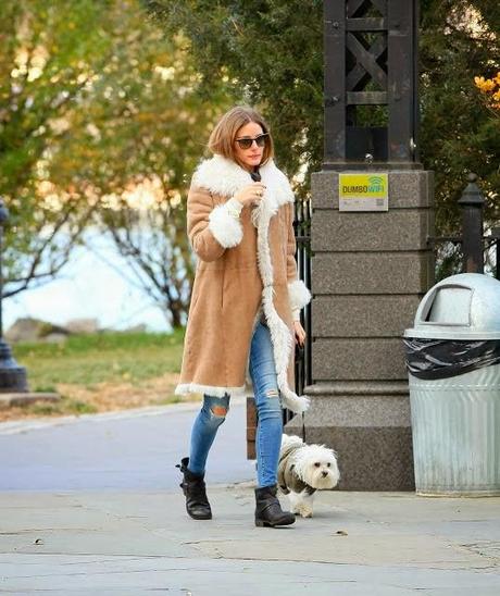 Olivia Palermo like a Poor Girl