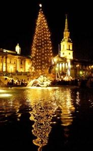 Christmas tree in Trafalgar Square