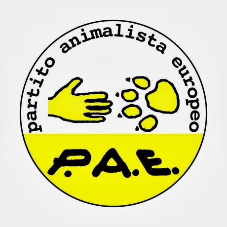 clicca per ingrandire ENRICO RIZZI CAPO DEL P.A.E. CHIEDE AL SINDACO DI MESSINA DI INTERVENIRE SUL RANDAGISMO