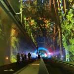Francia, inaugurato il primo tunnel ‘verde’ per pedoni e ciclisti (Video)