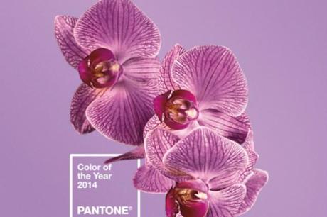 Pantone-svela-il-colore-del-2014-il-Radiant-Orchid-638x425