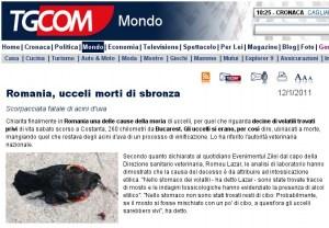 Romania, uccelli morti di sbronza