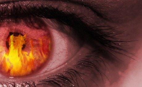 Gay Day. Il 13 gennaio 1998 Alfredo Ormando bruciava a Roma Gay Day. Il 13 gennaio 1998 Alfredo Ormando bruciava a Roma