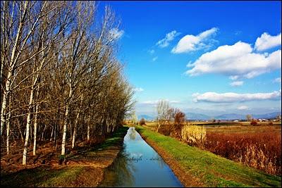 Terra Acqua Cielo - Scatti Terra Acqua Cielo - Scatti