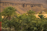 MauritaniaW Caleidoscopio Mauritano