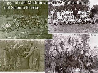 I giganti del Mediterraneo di Algimiro Borgia del Salento leccese