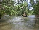 Pakistan, salvare le mangrovie Pakistan, salvare le mangrovie