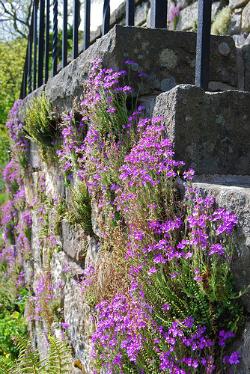 I Castelli hanno un'anima... I Castelli hanno un'anima...