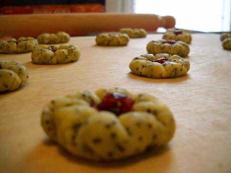 making biscuits with poppy-seeds and cranberries..